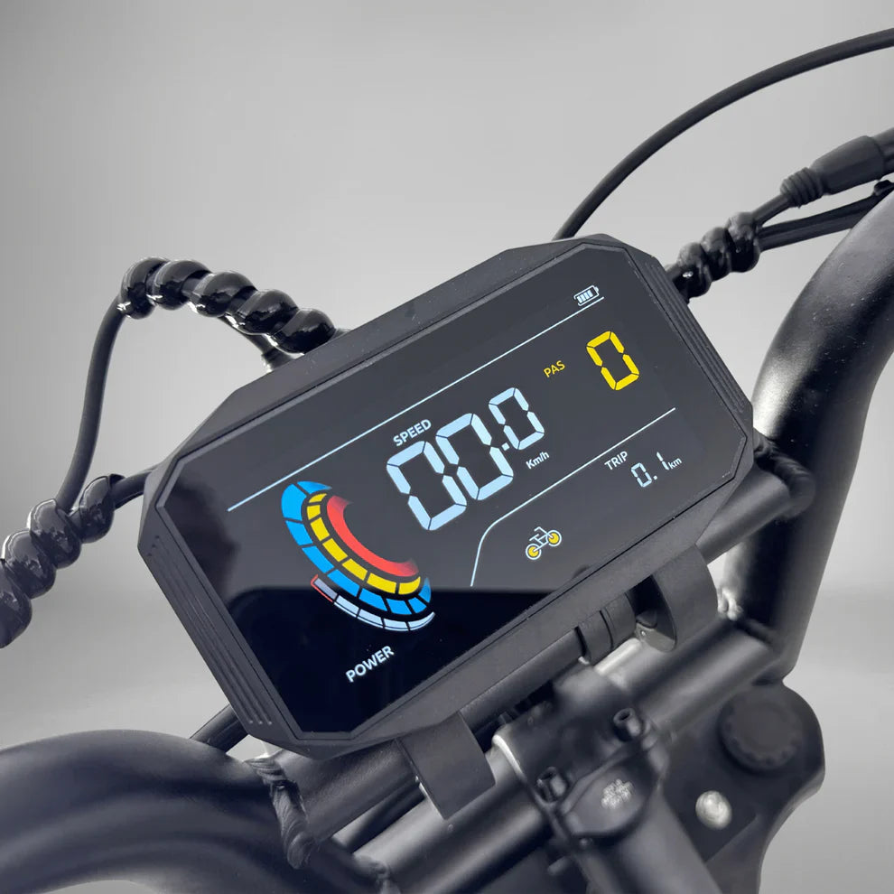 S20 Pro 500 WATT + Achterzitje + Voetsteuntjes + Alarm