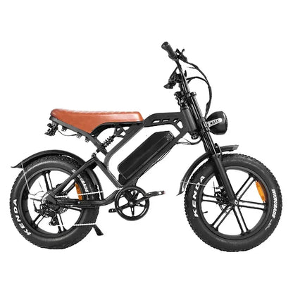 V20Pro 9.0 500 WATT + Achterzitje + Voetsteuntjes + Alarm